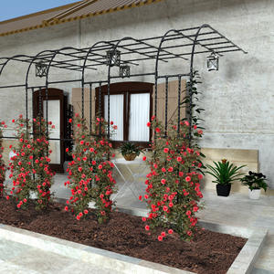 Supporto per Piante Rampicanti a Mezza Arco <span class=keywords><strong>da</strong></span> Pavimento, per Balcone e Giardino, per Clematidi, Uva e Rose, Struttura ad Arco Monofacciale - Product Image 1