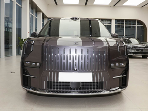 Nuevo Vehículo Eléctrico de Lujo, Monovolumen de 7 Plazas, Amplio Espacio, Furgoneta Eléctrica Premium, Volante a la Izquierda, Nueva Energía - Product Image 4