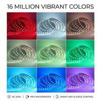 Bande lumineuse LED RGB AC110V 5050, rouleau de 100 m, 60 LED/m, étanche IP67, contrôle vocal via application intelligente, pour extérieur et aménagement paysager
