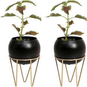 Top jardinières et pots à la mode finition décorative pour la maison et la décoration de mariage jardinières en métal décoration de plantes vertes - Product Image 3