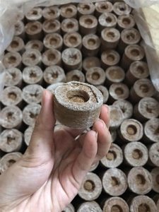 Disque de tourbe de coco d'origine du Vietnam pour pépinière de jardin Base de bouchon de sol compressé durable par 99 données d'or - Product Image 2