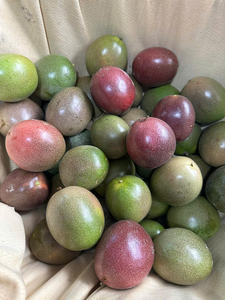 ราคาเสาวรสสดจากฟาร์มพร้อมมาตรฐานส่งออกโดยบริษัทส่งออกที่น่าเชื่อถือที่สุดในเวียดนาม - Product Image 2