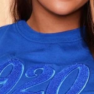 Camiseta de chenilla azul sólido 1920 Zeta Phi Beta Sorority Premium algodón suave cómodo ajuste ropa griega elegante logotipo bordado - Product Image 3