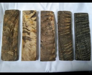 แผ่นเขาควายกรอบสี่เหลี่ยมธรรมชาติสีแดงสำหรับทุกเพศโดยตรงจากอินเดียยูนิเซ็กซ์ - Product Image 3