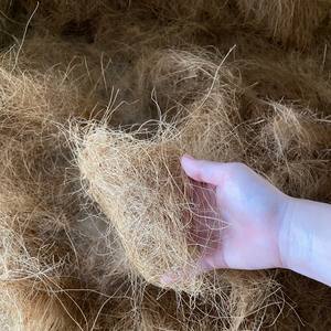 Matériau de vente chaud de fibre de coco Fibre de coco au Vietnam Distributeur entier de fibre de coco - Product Image 3