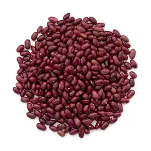 Frijoles rojos al por mayor Frijoles rojos oscuros con exportación