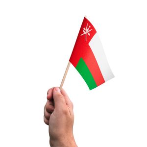 ธงประจำชาติที่กำหนดเองพร้อมพิมพ์โลโก้สำหรับกิจกรรมกีฬาและการตลาดธุรกิจขายส่งประเทศส่งเสริมการขาย - Product Image 4