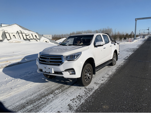 Véhicule électrique 2025 d'occasion, TAGA 4X4, pick-up double cabine, petit pick-up électrique - Product Image 5