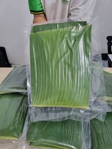 ใบตองแช่แข็ง เกรดอาหาร สำหรับห่อขนมข้าว ขนมจีบ และส่งออก - Product Image 6