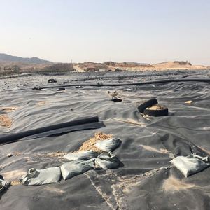 Màng Địa Kỹ Thuật <span class=keywords><strong>HDPE</strong></span> Tiêu Chuẩn ASTM 1.5Mm 2Mm Lót <span class=keywords><strong>HDPE</strong></span> Cho Phá Nước Thải - Product Image 5
