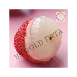 Litchi congelé en gros en vrac de l'exportateur de confiance idéal pour la transformation des aliments et les applications de boissons - Product Image 5