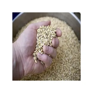 飼料大麦カザフスタン卸売天然有機一級動物飼料大麦50 Kgバッグ包装大麦種子穀物穀物