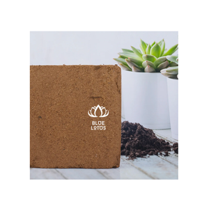 Meilleure vente Garden-Grade Coco Coir Respectueux de l'humidité et respectueux de l'environnement - Product Image 1