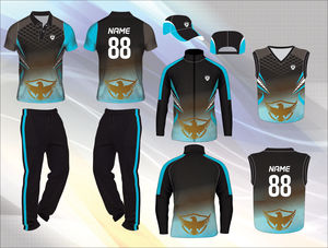 Tenue de sport formelle, uniforme d'équipe de cricket de qualité supérieure dans de belles couleurs avec des fonctionnalités de personnalisation - Product Image 5