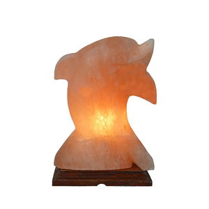 Lámpara de sal del Himalaya de alta calidad hecha a mano con forma Natural moderna personalizada, madera ecológica/Material de sal, decoración única para el hogar - Product Image 6