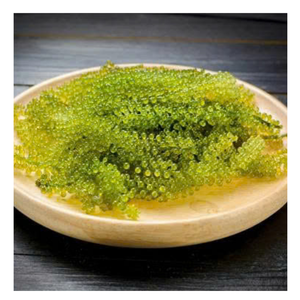 Raisins de mer Vibrant Green & Juicy, Raisins de mer Trendsetter dans la nourriture aux algues, Raisins de mer Préparation facile pour des plats modernes Naturels en vrac - Product Image 5