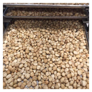 100% noix de Macca fraîche provenant du Vietnam, noix de Macca rôtie croustillante emballée avec des nutriments, idéale pour le marché international - Product Image 6