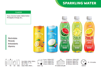 330Ml Mousserende Witte Thee Honing Jasmijnsap Drinken Premium Kwaliteit Gratis Monster, Private Label, Groothandel Leveranciers, (Oem, Odm)