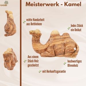 Camello tallado a mano en madera de olivo – Figura artística de la Natividad de Belén (13 cm) - Product Image 5