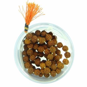 NOVAMART Fine Original 5 Mukhi Rudraksha Mala 108 Beads Orange Japa & Meditation Jaap Religious <b>Beaded</b> <b>Bracelets</b> with Tassel Sha - Product Image 3