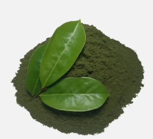 Vente en gros de feuilles de corossol séchées en vrac _ Traitement et emballage de haute qualité - Product Image 3