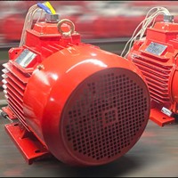 50Hz-60Hz boîtier en fonte noyau de cuivre moteur électrique triphasé moteur électrique à courant alternatif moteur asynchrone