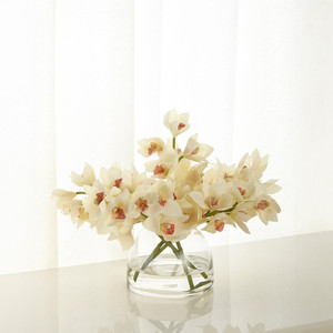 Vase en verre courbé WGV International VBC0806 - Design contemporain fait main, transparent, hauteur 5,7 cm, diamètre 200 mm - Product Image 4