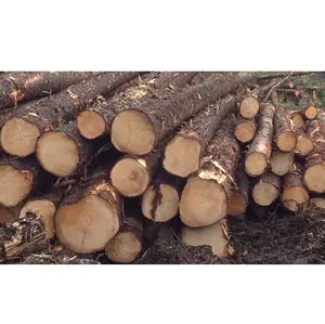 Madera y troncos de abeto blanco-Secado en horno y cepillado
