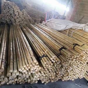 El poste de mayor diámetro de la gama, el poste de bambú natural de 120/150mm es un material ideal para estructuras de construcción. - Product Image 5