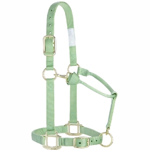 Nouveau 2025 Halters de cheval sur mesure Halter de haute qualité pour chevaux - Product Image 2