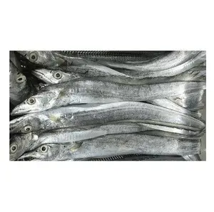 Kaliteli ucuz fiyat deniz ürünleri dondurulmuş taze kurdele balığı