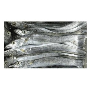 Good Quality Cheap Price Seafood Frozen Fresh Ribbon Fish