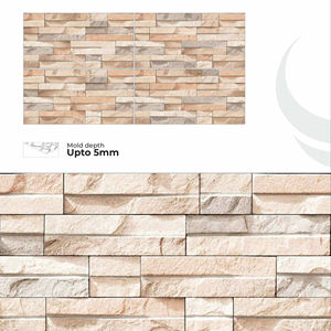 Carreaux muraux extérieurs en porcelaine 300x600mm Finition élévation - Product Image 1