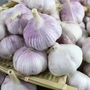 Ail frais entier, bulbes naturels blancs à rayures violettes, pour la cuisine, stockage à sec, durée de conservation de 6 à 12 mois - Product Image 1