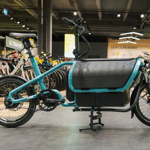 Meilleures ventes 2025-2026 Vélo cargo électrique Carrie vario Prêt à être expédié PORTE À PORTE - Product Image 1