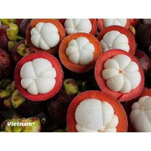 มังคุดออร์แกนิกรสหวานผลไม้เมืองร้อนบรรจุภัณฑ์สวยผู้จำหน่ายจากเวียดนาม - Product Image 3