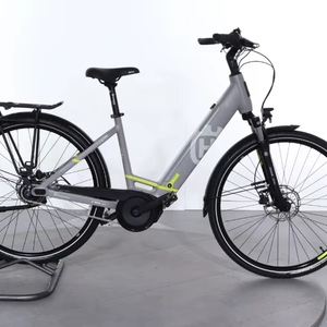 Prix d'usine abordable 2025-2026 Towner 2 Vélo électrique urbain prêt à l'exportation dans le monde entier - Product Image 6