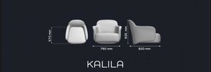 KALILA Modern Traditional Living Room Armchair Polyurethane <b>Foam</b> Padded <b>Seating</b> Chair - Product Image 4