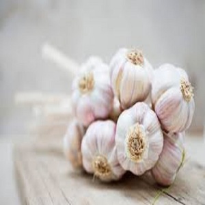 Hot Sale Top Grade Organic <b>Fresh</b> <b>Garlic</b> Normal White <b>Garlic</b> Ready for Export - Product Image 5