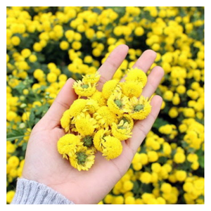 ชาคาโมมายล์ดอกเดซี่คุณภาพสูง: ดอกเดซี่ดอกคาโมไมล์จากเวียดนามแห้งตามธรรมชาติชงได้ง่ายและสงบเงียบ - Product Image 2