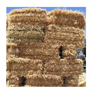 Fournisseur en gros de stock en vrac de foin d'avoine naturel pour chevaux et bovins/foin d'avoine séché expédition rapide - Product Image 2