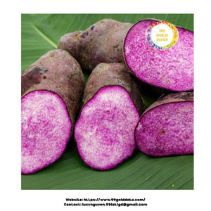 Ñame congelado IQF corte fresco hecho en Vietnam limpio procesado y empaquetado para servicio de alimentos supermercado y exportación - Product Image 5