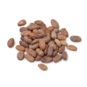 Качественное сырое сушеное какао/высококачественные бразильские какао-бобы какао-Какао-шоколадная заводская цена