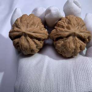 Lámpara de Sal de Piedra Danhong Fuli Coleccionable - Concha Roja Profunda Natural, Técnica Cruda, Forma de Flor, Colección Feng Shui de Gran Valor - Product Image 5