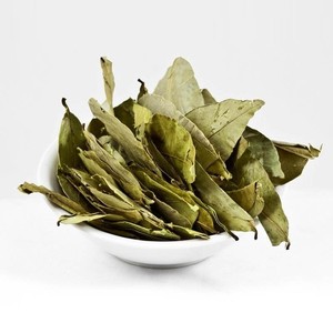 Fourniture en vrac de feuilles de corossol séchées feuilles de graviola sèches naturelles pour tisane récoltées dans des fermes biologiques - Product Image 1