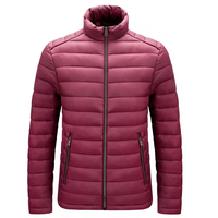Veste matelassée légère pour homme, multicolores, col montant, alternative au duvet, vêtements d'extérieur, fabricant OEM, usine, logo personnalisé