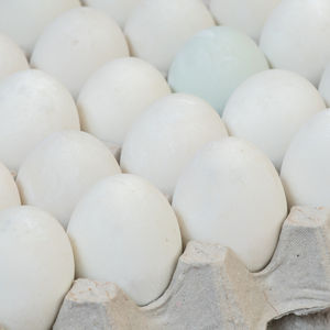ไข่ไก่สีขาวและน้ำตาลสดบรรจุในกล่องไข่ไก่จำนวนมาก - Product Image 1