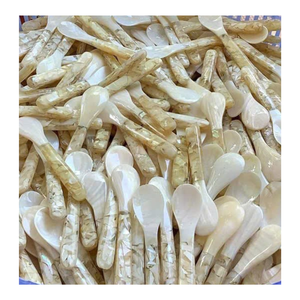 Cuillère en coquillage fabriquée à la main-nacre naturelle pour un dîner raffiné, superbe cuillère en nacre - Product Image 5