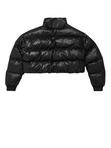 Veste matelassée courte décontractée pour femmes, vente en gros, nouveau style, hiver, logo personnalisé OEM, vêtements d'hiver, coton extensible, manches longues - Product Image 6