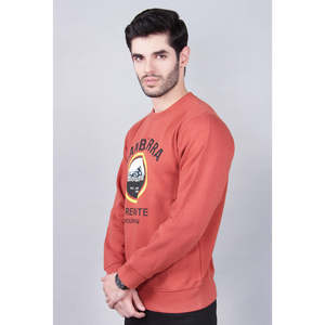 เสื้อสเวตเชิ้ตผู้ชาย OTIS Canberra Classic ปักโลโก้ตามสั่ง ผ้าฝ้ายถัก 100% ระบายอากาศได้ดี ไซส์ XL ป้องกันรอยยับ ป้องกันการหดตัว พิมพ์ลายซิลค์สกรีน - Product Image 4